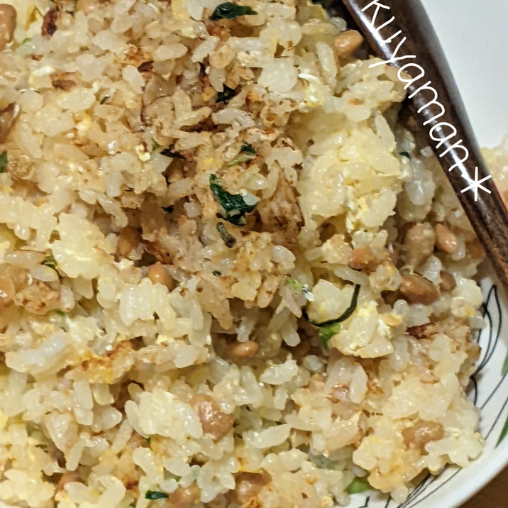 ねぎ入り納豆チャーハン